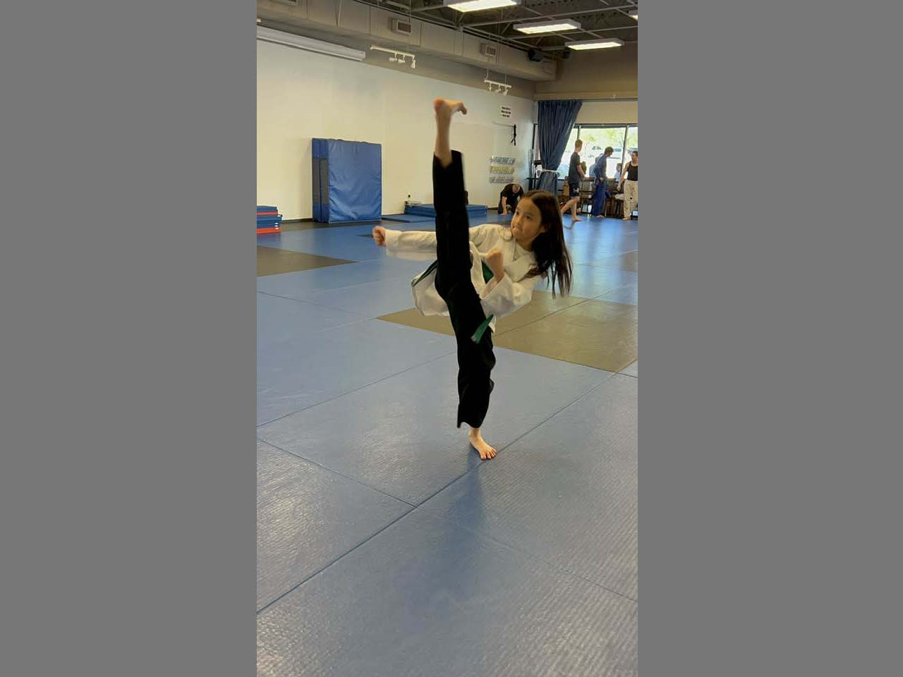 Taekwondo High Kick